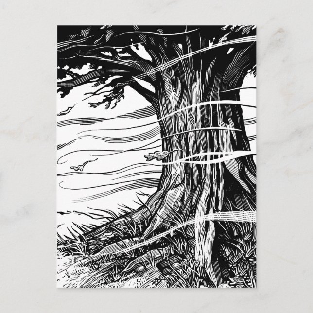 Tree Postcard (Front)
