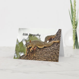 Tree Reclining Squirrel Sympathy Card