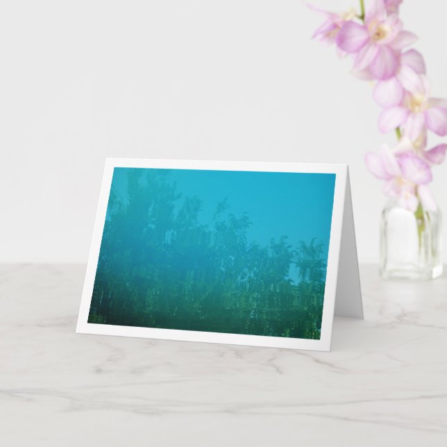 Tree Reflection in Pool Background Card (Orchid)