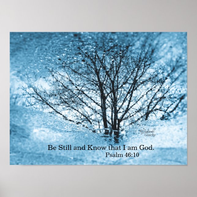 Tree Reflection Poster (Front)