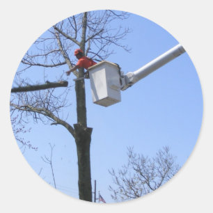 Tree Removal ~ sticker