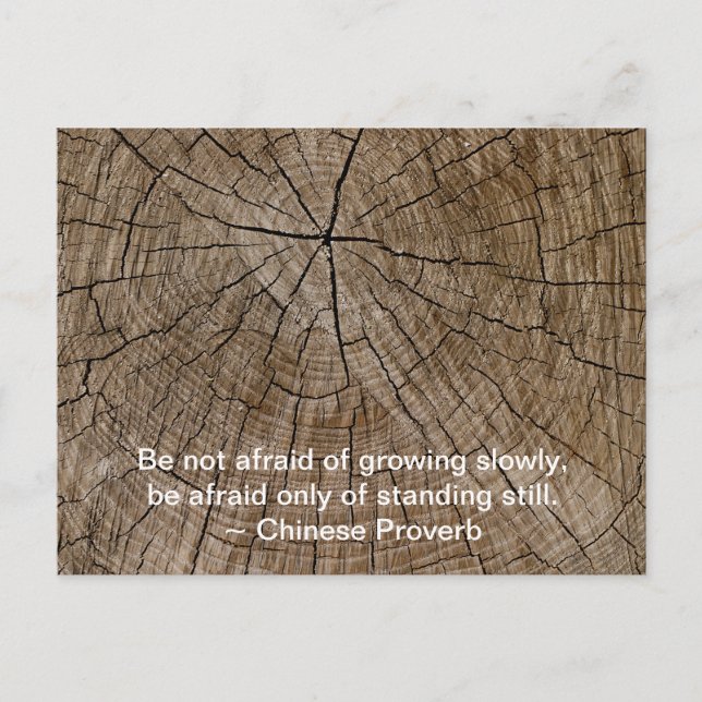 Tree Rings Growing Slowly Inspirational Quote Postcard (Front)