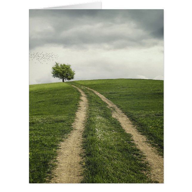 Tree road nature scenery (Front)