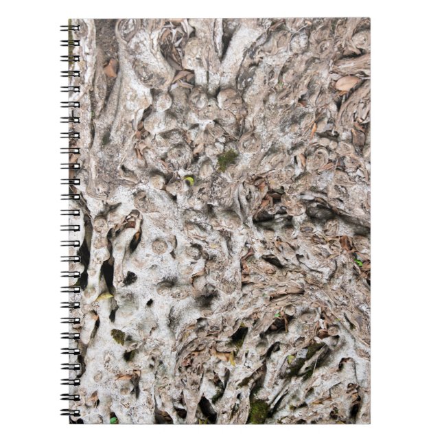 Tree root composition notebook (Front)