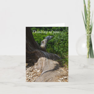 Tree Root Extension Thinking Of You Card