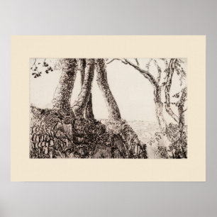 Tree Roots Cornwall Eleanor Hughes Restrike Print