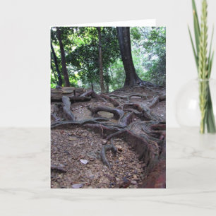 Tree roots on Mt. Kurama Card