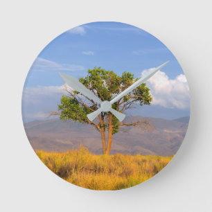 Tree Round Clock
