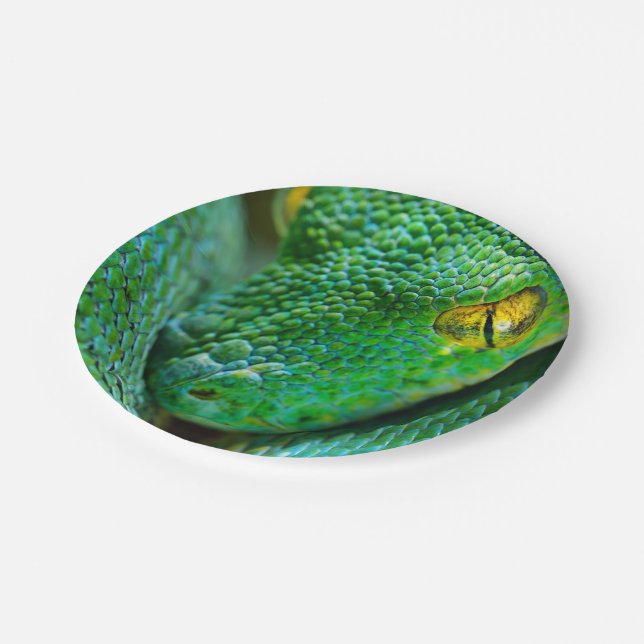 Tree Scene Paper Plate (Angled)