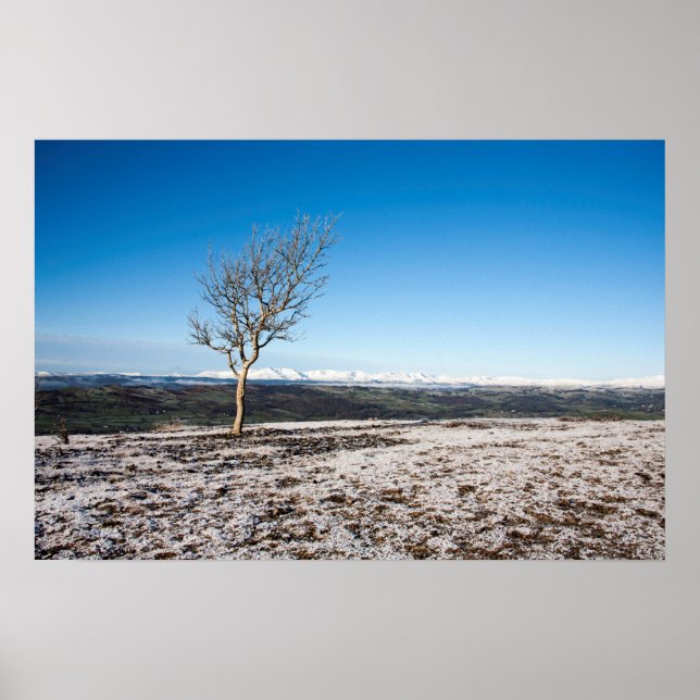Tree Scout Scar Old Man of Coniston background Poster (Front)