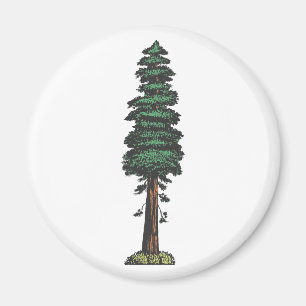 tree sequoia magnet