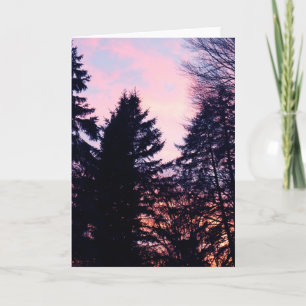 Tree Shadows Forest Hues Card