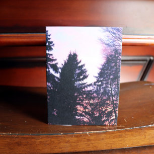 Tree Shadows Forest Hues Card