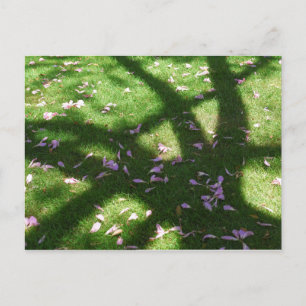 Tree Shadows Postcard