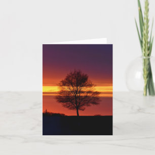 Tree silhouette blank notecard. thank you card
