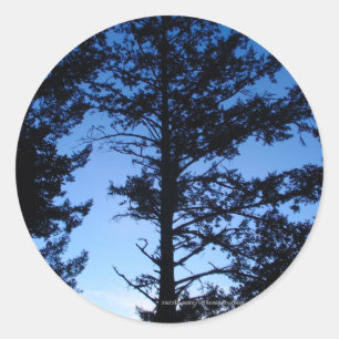 Tree Silhouette Classic Round Sticker