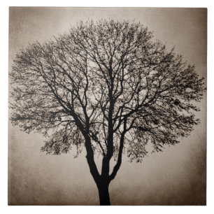 Tree Silhouette Design 205 Ceramic Tile