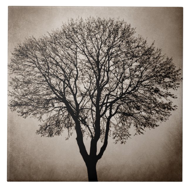 Tree Silhouette Design 205 Ceramic Tile (Front)