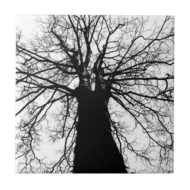 Tree Silhouette in Black and White Ceramic Tile (Front)