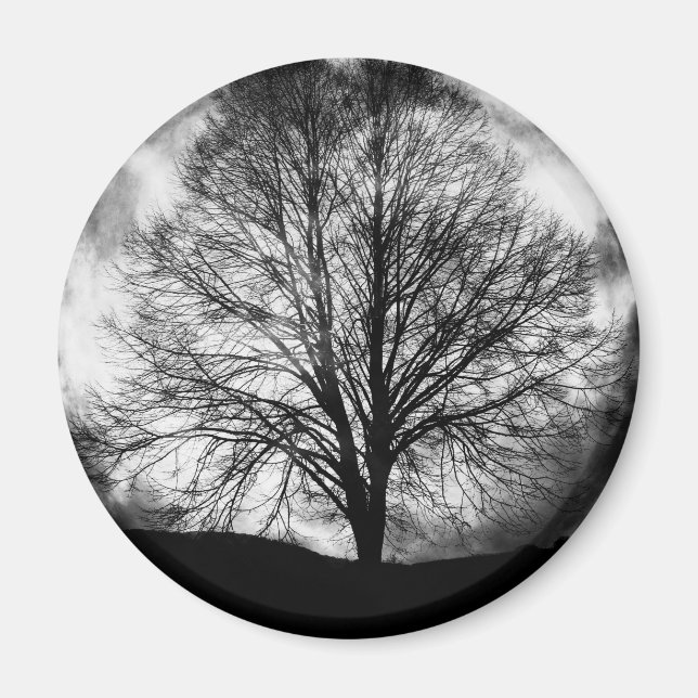 Tree Silhouette in Front of a Full Moon Magnet (Front)