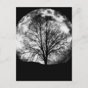 Tree Silhouette in Front of a Full Moon Postcard