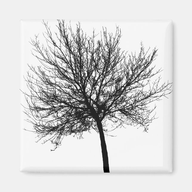 Tree Silhouette Magnet (Front)