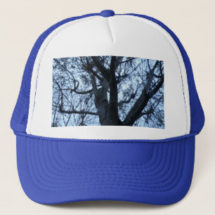 Tree Silhouette Photograph Hat
