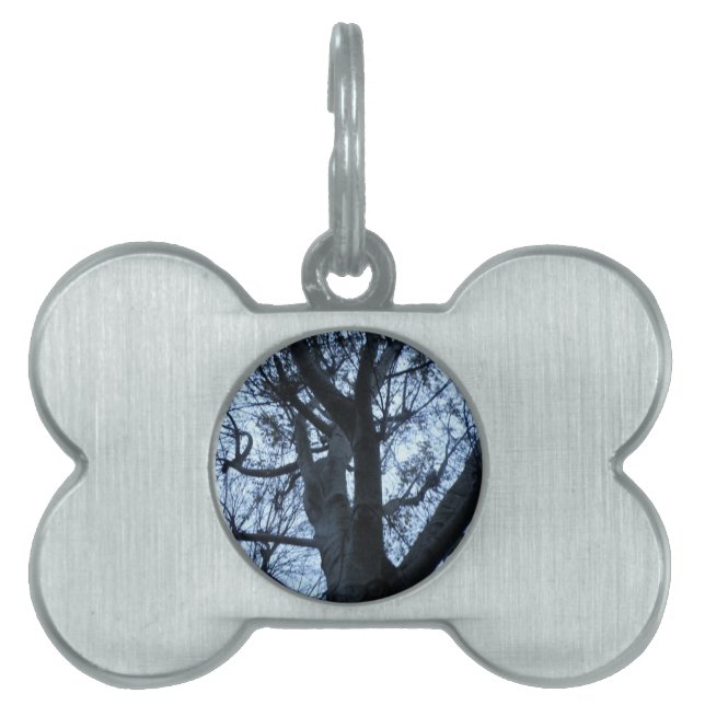 Tree Silhouette Photograph Pet Tag (Front)