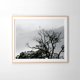 Tree Silhouette Powerscourt Gardens Photography Poster