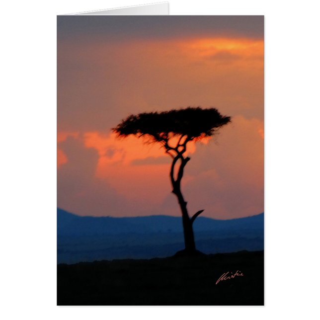 Tree Silhouette & Sunset, Masai Mara Card (Front)