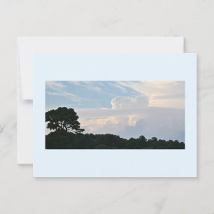 Tree Silhouette with Clouds Postcard