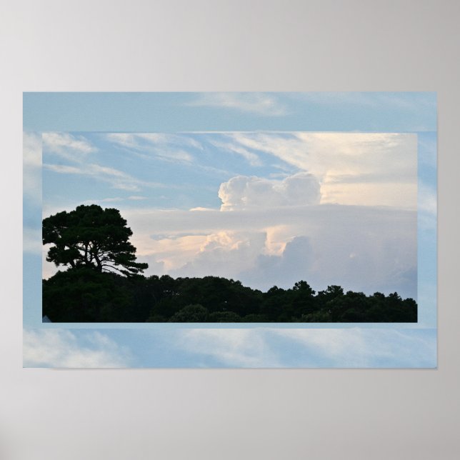 Tree Silhouette with Clouds Poster  (Front)