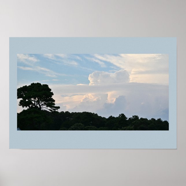 Tree Silhouette with Clouds Poster  (Front)