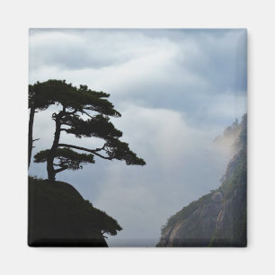 Tree silhouetted at sunrise, Yellow Mountain, Magnet