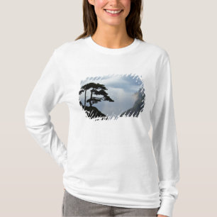 Tree silhouetted at sunrise, Yellow Mountain, T-Shirt