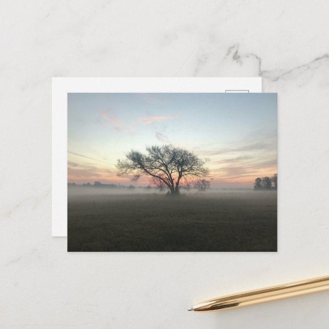 Tree Silhouetted in Misty Field Postcard (Front/Back In Situ)