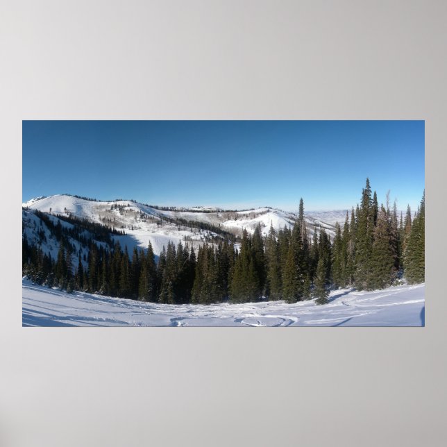 Tree Skiing Poster (Front)