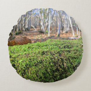 Tree Slumbers in Autumn Moss - Personalised Round Cushion