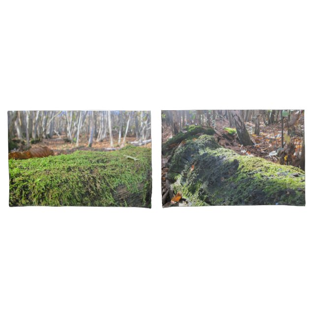 Tree Slumbers in Autumn Moss - Personalized Pillowcase (Front-Set)