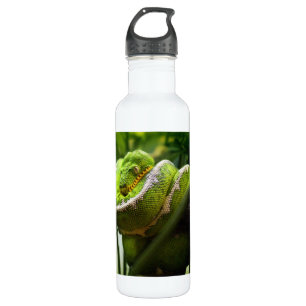 Tree Snake 710 Ml Water Bottle