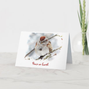 Tree Sparrow Seasons Greetings Holiday Card