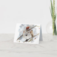 Tree Sparrow Thank You