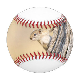 Tree squirrel baseball