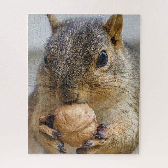 Tree Squirrel eating a nut Jigsaw Puzzle (Vertical)