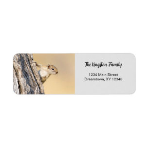 Tree squirrel funny personalised Return Address Return Address Label