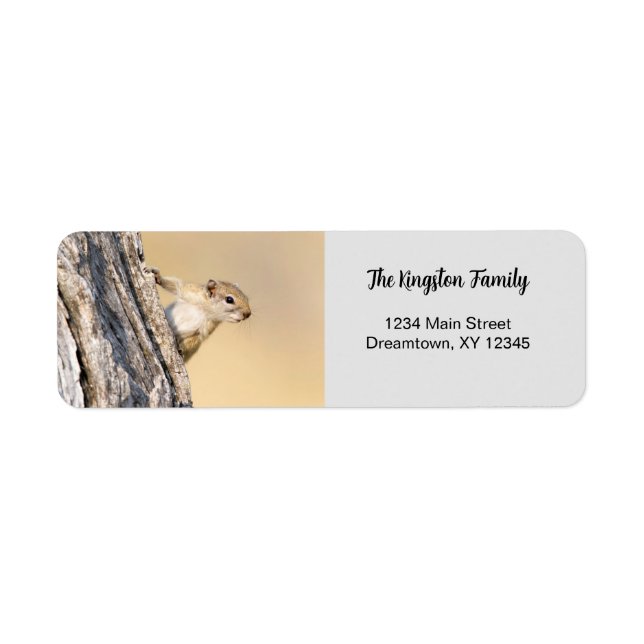 Tree squirrel funny personalised Return Address Return Address Label (Front)
