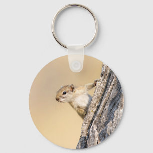 Tree squirrel key ring