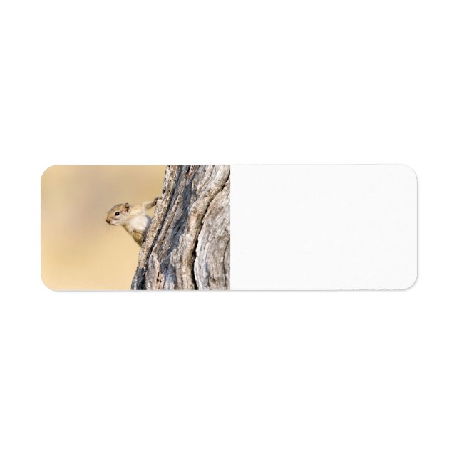 Tree squirrel return address label (Front)