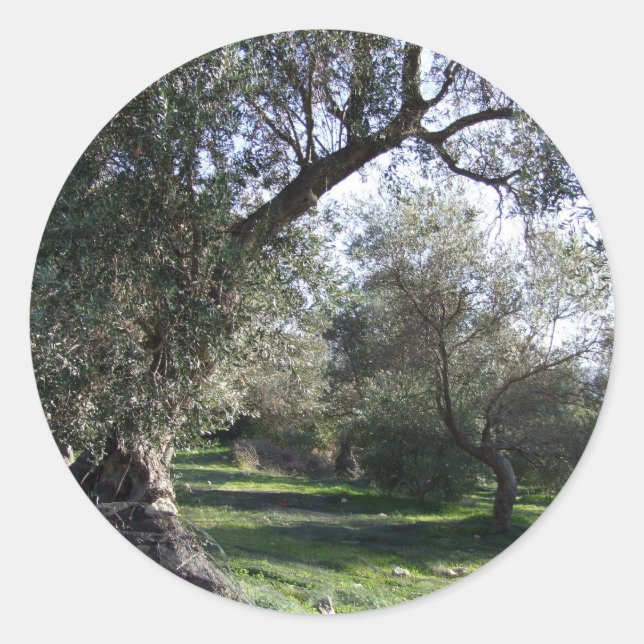 Tree Stickers (Front)