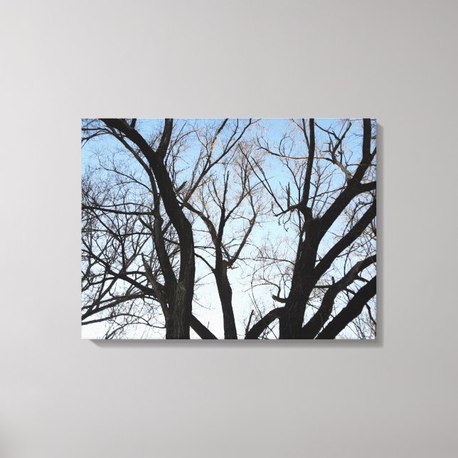 Tree Stretch Canvas Print (Front)